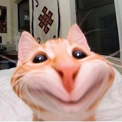 sita_1219's profile picture. ☻❀