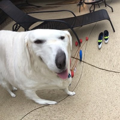 ConstruxYT's profile picture. 