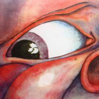 In the Court of the Crimson King Film(@ITCOTCKDOC) 's Twitter Profile Photo