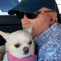 George Daley (@fuzzball4971) 's Twitter Profile
