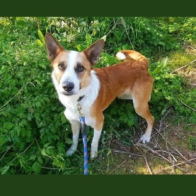 RominaHDF's profile picture. se sincero
