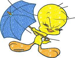 alinmochil's profile picture. like tweety very much