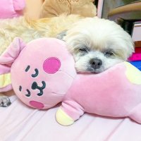 chunie (@lalaloves____) 's Twitter Profile