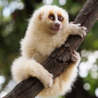 chillhorse07's profile picture. in my lucki fat pipeline