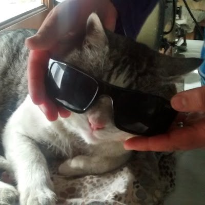 Pagdezch07's profile picture. 