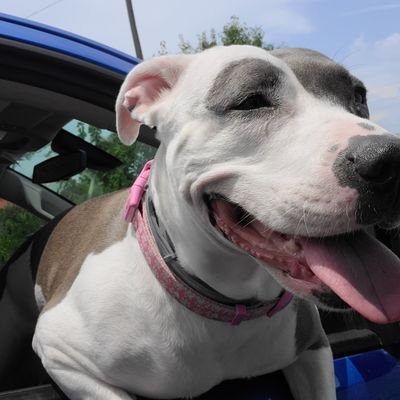 PaulLinton14's profile picture. 