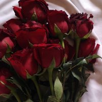 Khushi (@khush3112000) 's Twitter Profile Photo Khushi (@khush3112000) 's Twitter Profile Photo