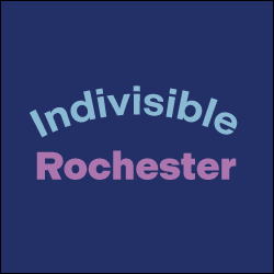 Our goal is to actively oppose the Trump agenda through peaceful resistance by following the best practices set forth by @indivisibleteam