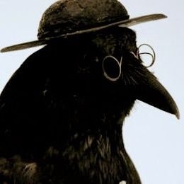 Croi_Coinin's profile picture. | Morriganic Druid | married to @jaycatte | they/them pronouns | Intersex |