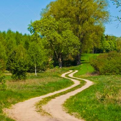 The mission of Dirt Road Democrats is to speak the plain, honest truth to politics and how it affects rural America. BS belongs in the feedlot.

#RuralMatters