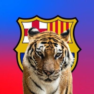 Consultor Internacional Hotelería y Turismo
Seguidor del FC Barcelona