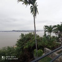 J.C (@jhonnymarcelo1) 's Twitter Profile