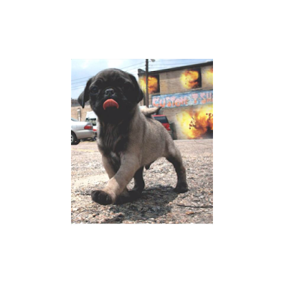 DylinSandby's profile picture. 