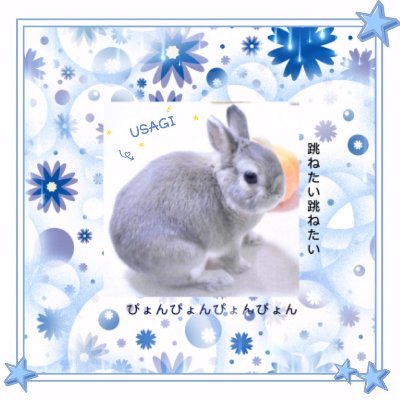 crHRzzSL5tcpbG1's profile picture. 兎♂です。