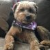 Kate Woofington (@katewoofington) Twitter profile photo Kate Woofington (@katewoofington) Twitter profile photo