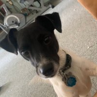 Duane Davis (@stlnprfln) 's Twitter Profile