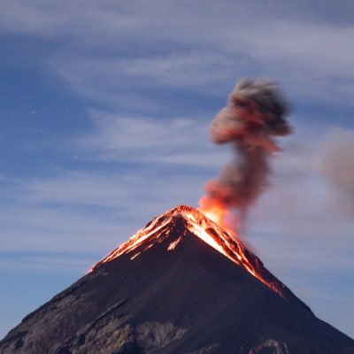 _stalgrim's profile picture. DeBox