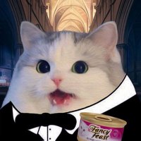 Starscourge Tony (@pipisaurusrex) 's Twitter Profile