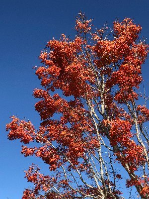 atestaccountfor's profile picture. aaaaaaaa