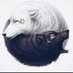 aminsoroush (✸,✸) (Ø,G) (@aminsoroushf) Twitter profile photo aminsoroush (✸,✸) (Ø,G) (@aminsoroushf) Twitter profile photo