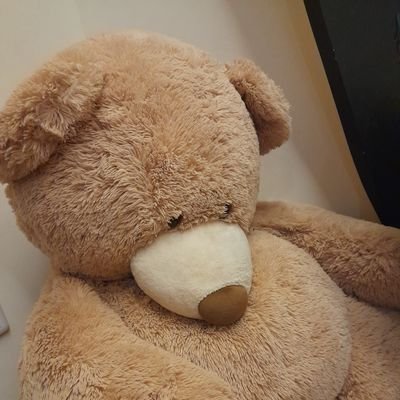 kakidonbiki's profile picture. from Taiwan | 20↑ | Chinese and English ok | 日本語(少し) ଘ(੭*ˊᵕˋ)੭*