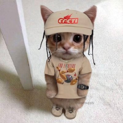 dookiedownn's profile picture. profesionāls smirdoņu analītiķis kopš 2022  #dušasprieks