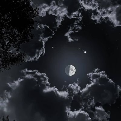 TrapfloW66's profile picture. High level