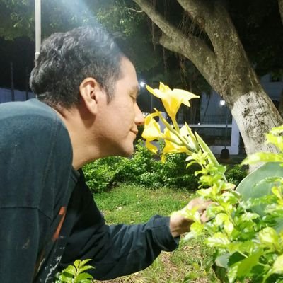 Me gusta muchísimo la programación, crecimiento continuo