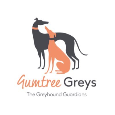 🐶 #Greyhound Adoption #GreyhoundGuardians
🧡 Adopt • Foster • Donate
🙌🏽 Volunteer-run, registered charity
🌏 Brisbane/Victoria