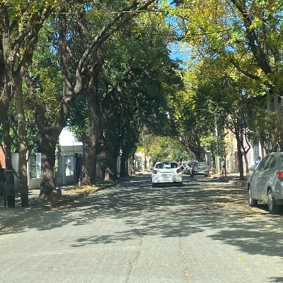 noticiasreale10's profile picture. soñador y andador del mundo