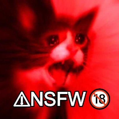 ⚠️🔞NSFW WARNING🔞⚠️
Mostly #futanari #shemale
FRIEND: @HentaiHamster1