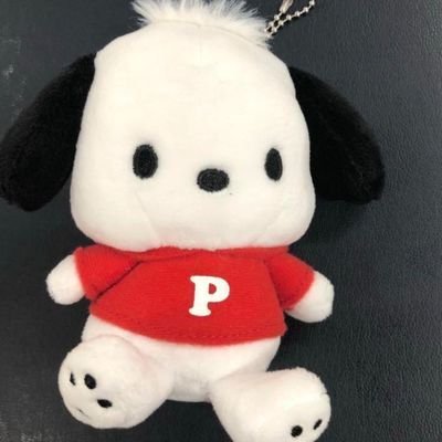 shinamon_313's profile picture. サンリオ垢
好きなキャラ ポチャッコ🤍🩶シナモロール☁🤍🩵こぎみゅん🤍マイメロディ🐇🩷🤍ウサハナ キティ

ちいかわ🤍🩵🩷、くま、ミッフィー🤍もすきです。mikkocharacters エスターバニー