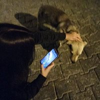 flanisaq (@flanisaqq) Twitter profile photo