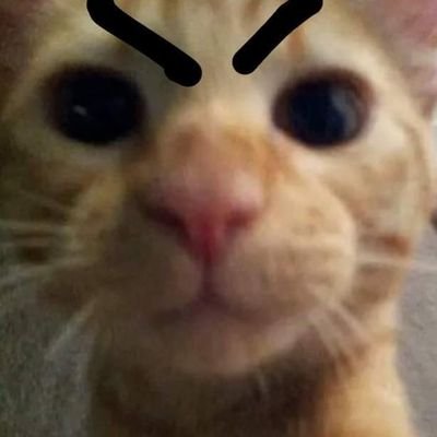 nanipi7's profile picture. Me gustan los gatos y mostrar mi arte