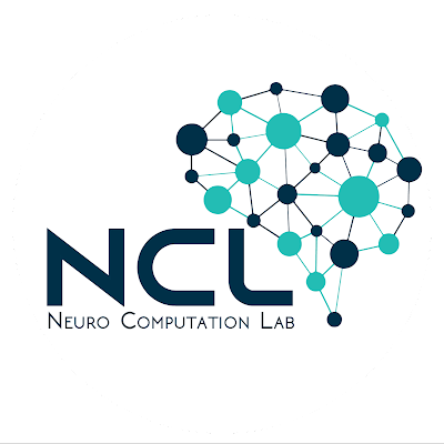 Neurocomputation Lab - Specializes in Artificial Intelligence and Neuroscience applications.