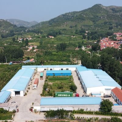 dayawool's profile picture. 