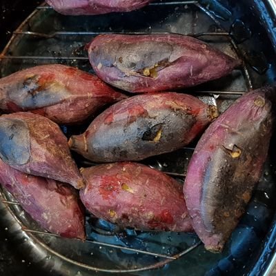 zjmeHZS8quK3Xvq's profile picture. 친노,문 개씨끼집당이 지놈들 이익을 가로채기위해 온갖 권모술수로 국민의 눈과귀를 멀게하고 국민의 혈세를 지돈인냥 오로지 지놈들 착취를위해 전세계를처돌아다니고 북에게 비핵을 별미로 전세계가 모든돈줄을막았는데~천문학적돈을쳐부은것.이로인해 고립된북이 미사일을쏴댄다.한방에얼마인가?누가 줘서?