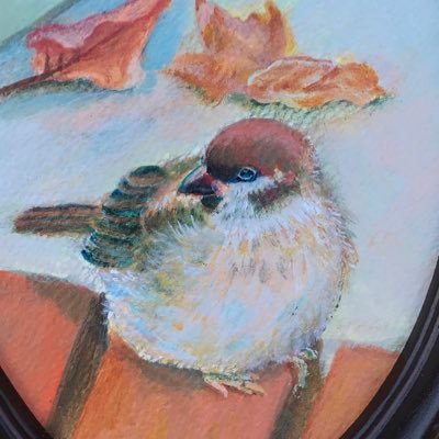 いこま魚古（ななこ）さんのプロフィール画像