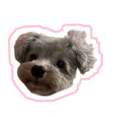 iceziieci's profile picture. 💖 = SJ13+2 ~ MTBB ~🥑🌊 ~🐯🐶~🦊🍅~🌞🌛~🎸🦈

เล่น X เพื่อ รี อะไรที่ชอบ