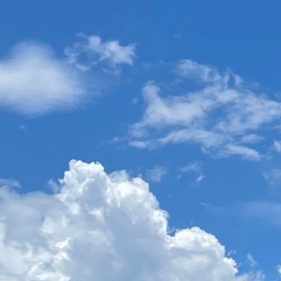 ともりさんのプロフィール画像