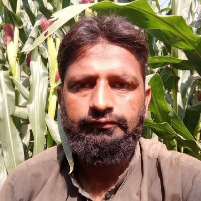 Irshad0069's profile picture. 