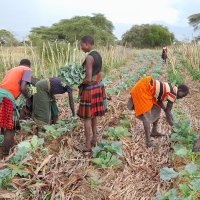 JELM-T-HUB YOUTH FARMERS (@jelmyoufarmers) 's Twitter Profile