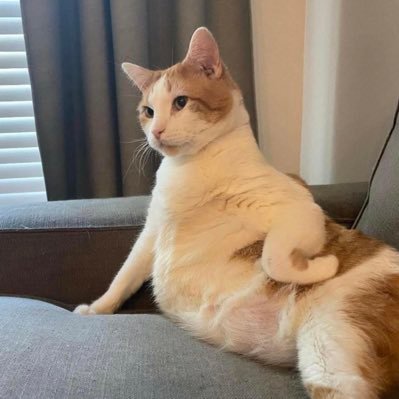 Yu40445548's profile picture. 8964