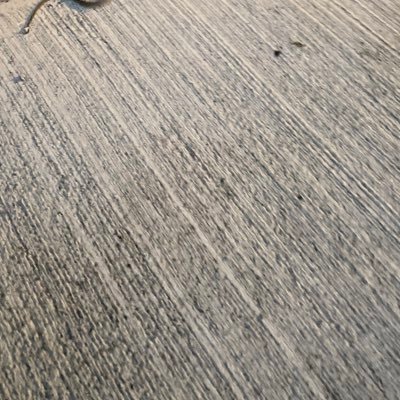 ikari1203's profile picture. おそらく大学生 数学科だけど心理学の方が興味あり