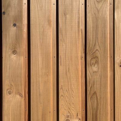 sayaakaaa's profile picture. 