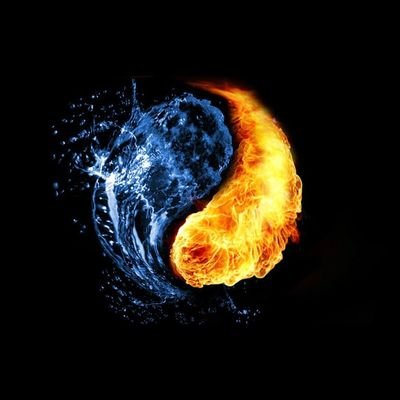 namlm8x's profile picture. 