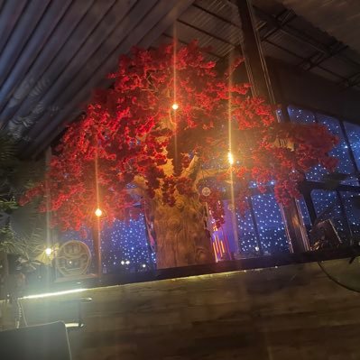 Ura88999988's profile picture. 