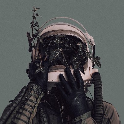 MaraLohk_'s profile picture. ✨・Cosmic Explorer & Space Enthusiast
🌺・Creative Systems Architect
Profile Art By David Schermann