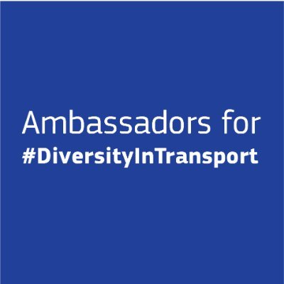 Promote diversity, equality and inclusion within the EU transport sector, both among transport workers and users.