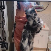 Tgirl_Ahu (@baebyahu) 's Twitter Profile